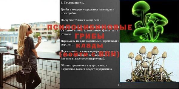 соль ск Баксан