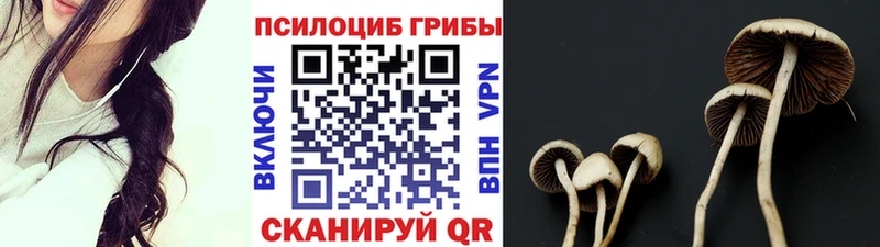 Галлюциногенные грибы Cubensis  наркота  Кремёнки 
